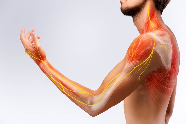 Inflamacion de la medula y la perdida de peso